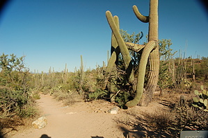 feature photo
