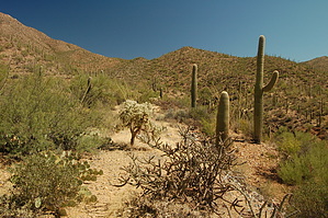 feature photo