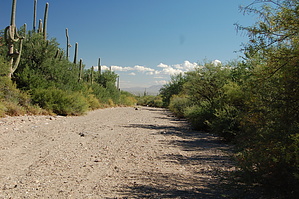 feature photo