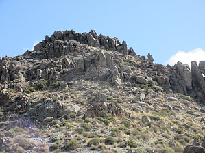 feature photo