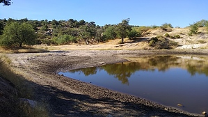 feature photo