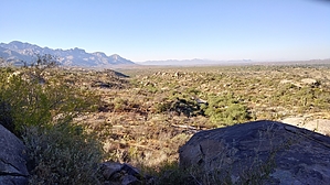 feature photo