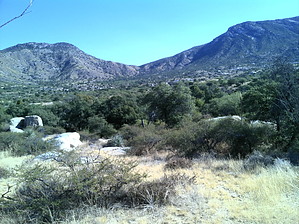 feature photo