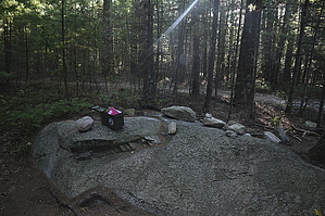 feature photo