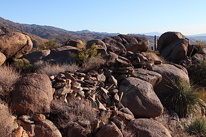 feature photo