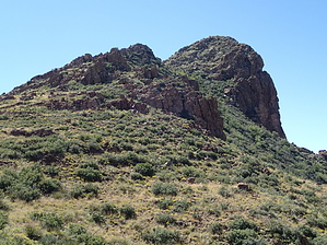 feature photo