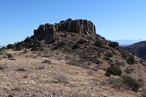 feature photo