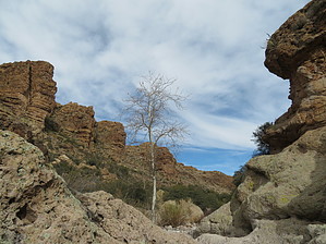 feature photo