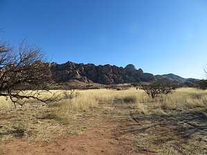 feature photo