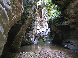 feature photo