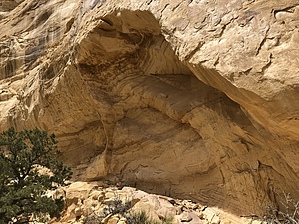 feature photo