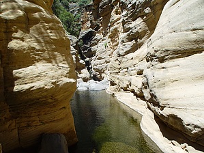 feature photo