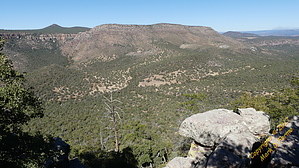 feature photo
