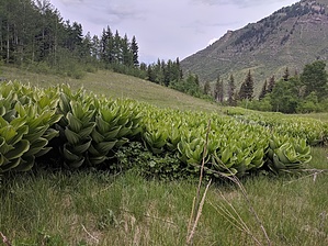feature photo