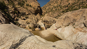 feature photo