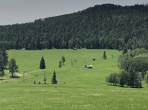 feature photo