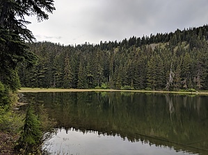 feature photo