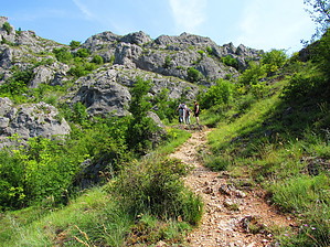 feature photo