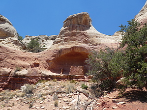 feature photo