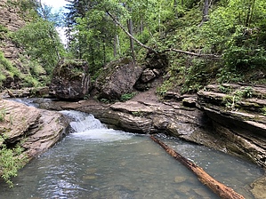feature photo