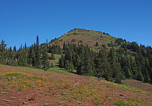 feature photo
