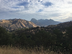 feature photo