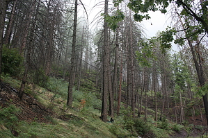 feature photo