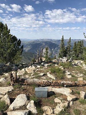 feature photo