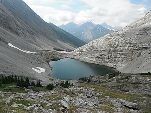feature photo