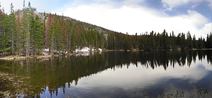 feature photo