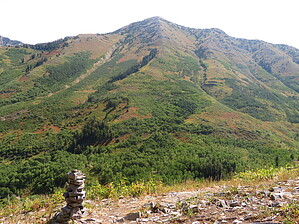 feature photo