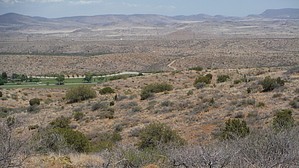 feature photo