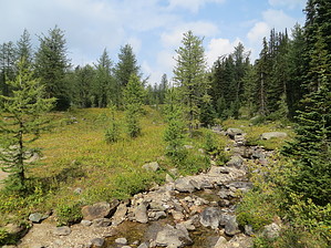feature photo
