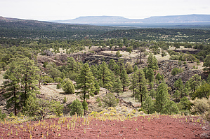 feature photo