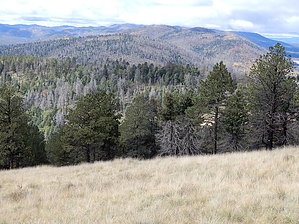 feature photo