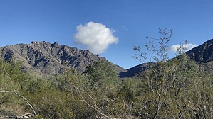 feature photo