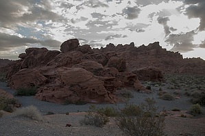 feature photo
