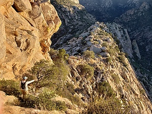 feature photo