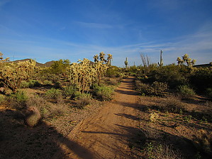 feature photo