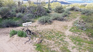 feature photo