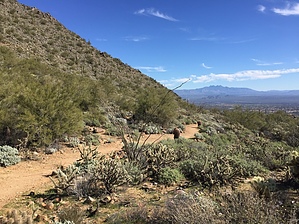 feature photo
