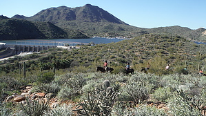 feature photo