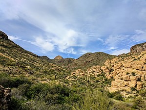 feature photo