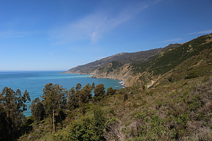 feature photo