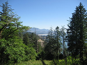 feature photo