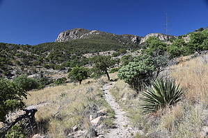 feature photo