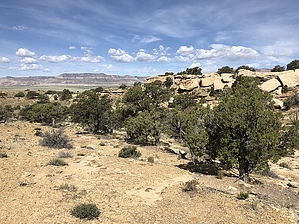 feature photo