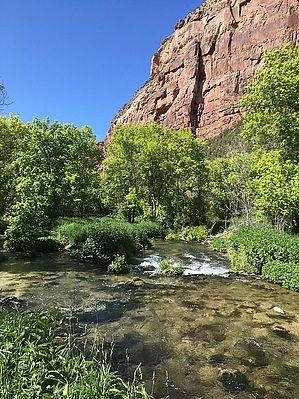 feature photo