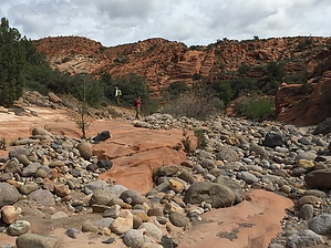feature photo