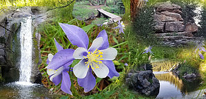 feature photo